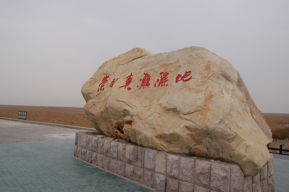 Dongtan Wetland Park